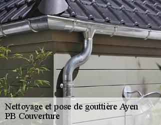 Nettoyage et pose de gouttière ayen-19310
