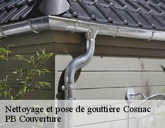 Nettoyage et pose de gouttière cosnac-19360 PB Couverture