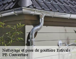 Nettoyage et pose de gouttière estivals-19600 PB Couverture