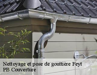 Nettoyage et pose de gouttière feyt-19340 Artisan Picque