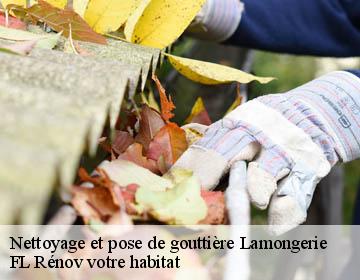 Nettoyage et pose de gouttière lamongerie-19510 Artisan Lagrenee