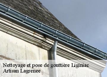Nettoyage et pose de gouttière  liginiac-19160 Artisan Lagrenee