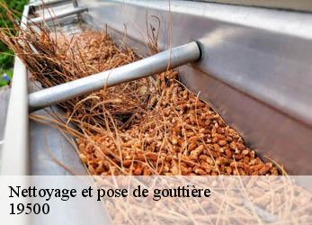 Nettoyage et pose de gouttière  19500