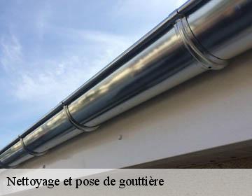 Nettoyage et pose de gouttière