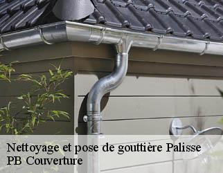 Nettoyage et pose de gouttière  palisse-19160 PB Couverture