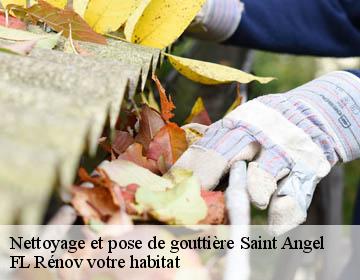 Nettoyage et pose de gouttière saint-angel-19200 Artisan Lagrenee