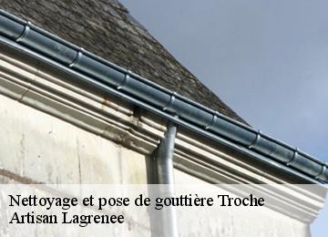 Nettoyage et pose de gouttière  troche-19230 Artisan Lagrenee