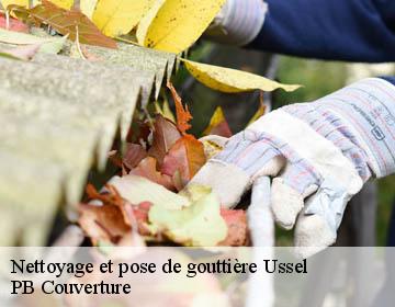 Nettoyage et pose de gouttière  ussel-19200 PB Couverture
