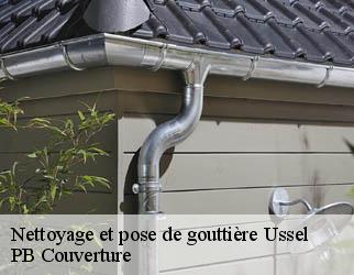 Nettoyage et pose de gouttière ussel-19200 Artisan Picque