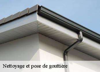 Nettoyage et pose de gouttière