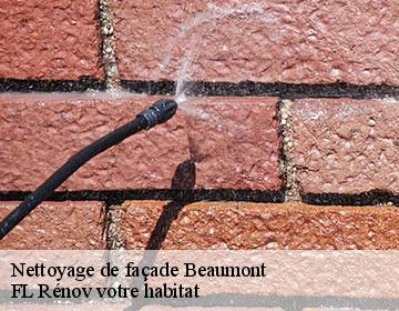 Nettoyage de façade beaumont-19390 Artisan Lagrenee