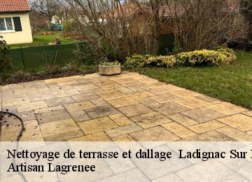 Nettoyage de terrasse et dallage   ladignac-sur-rondelle-19150 Artisan Lagrenee