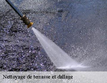 Nettoyage de terrasse et dallage