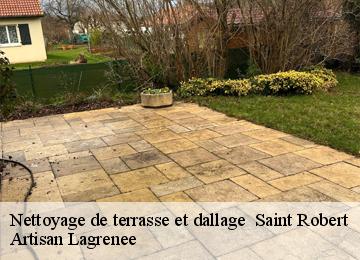 Nettoyage de terrasse et dallage   saint-robert-19310 Artisan Lagrenee
